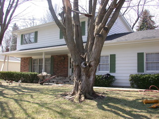 Main Photo